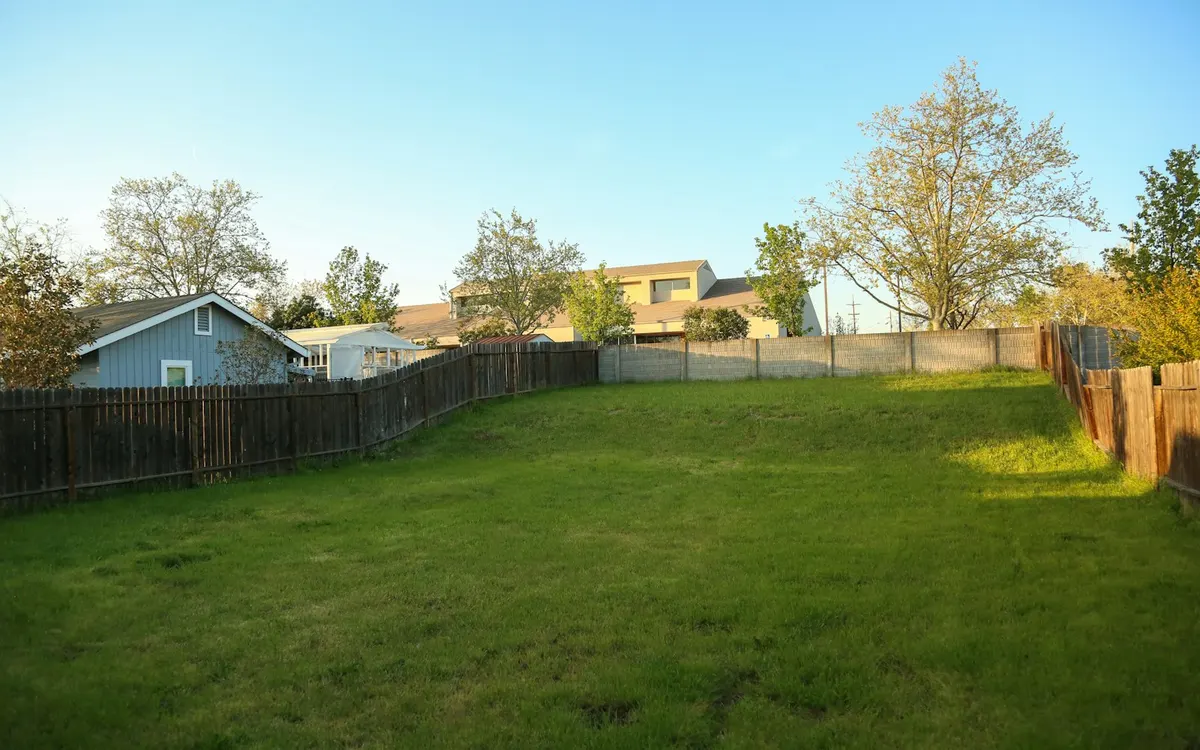 A well-kept residential backyard lawn in spring
